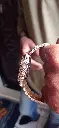 IMG_20221205_162245.webp